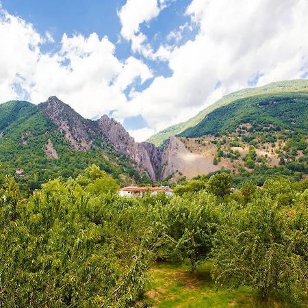 Káto Loutrákion Irenes Resort מראה חיצוני תמונה